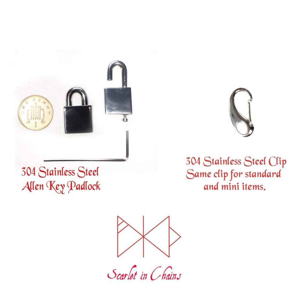 Stainless Steel Cage choker- Fetish Collar - Goth choker - Punk Showing Padlock or Clasp fastening - All 304 Stainless Steel