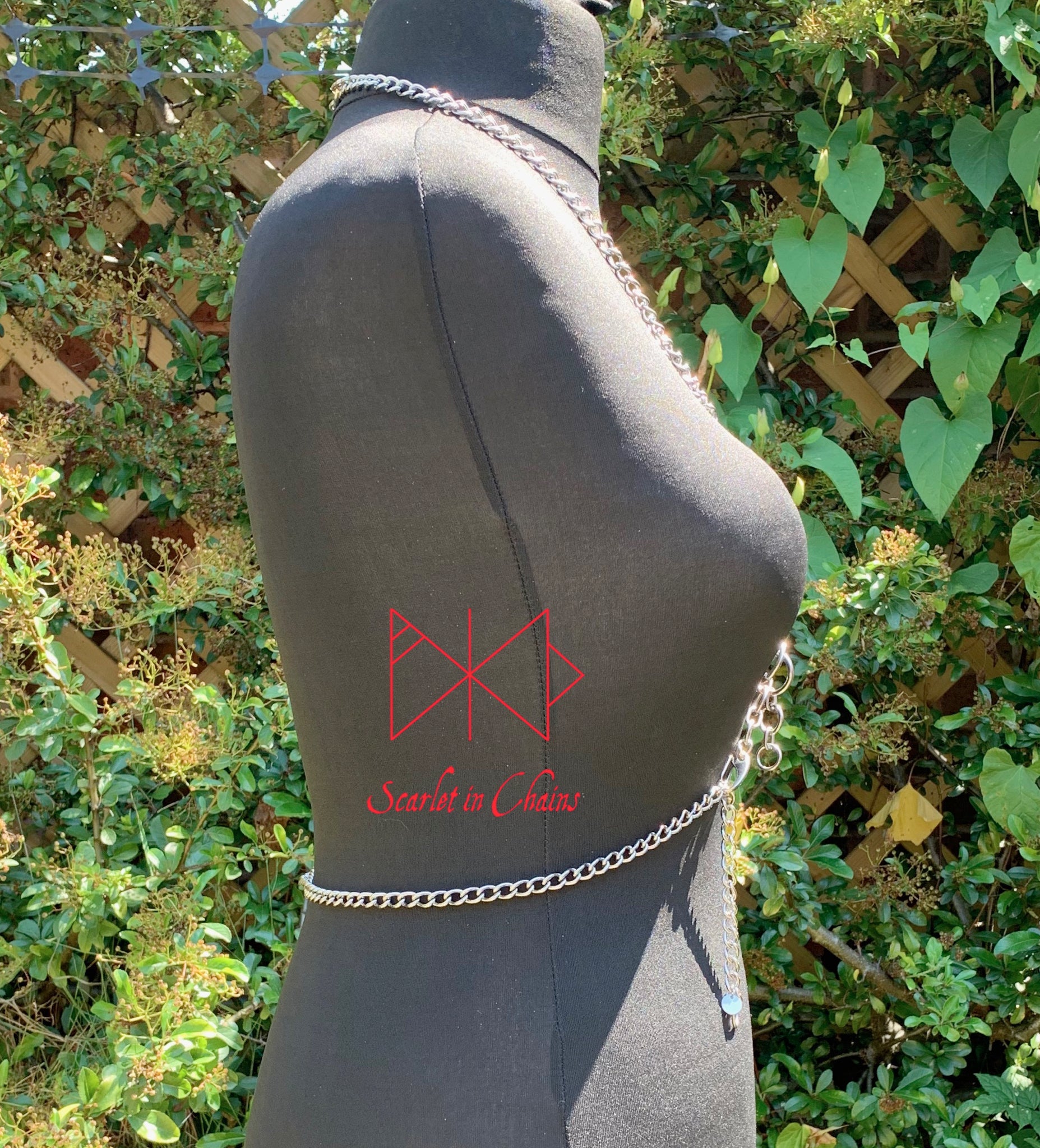 Synergy Body Harness Stainless Steel Harness with new links Side View