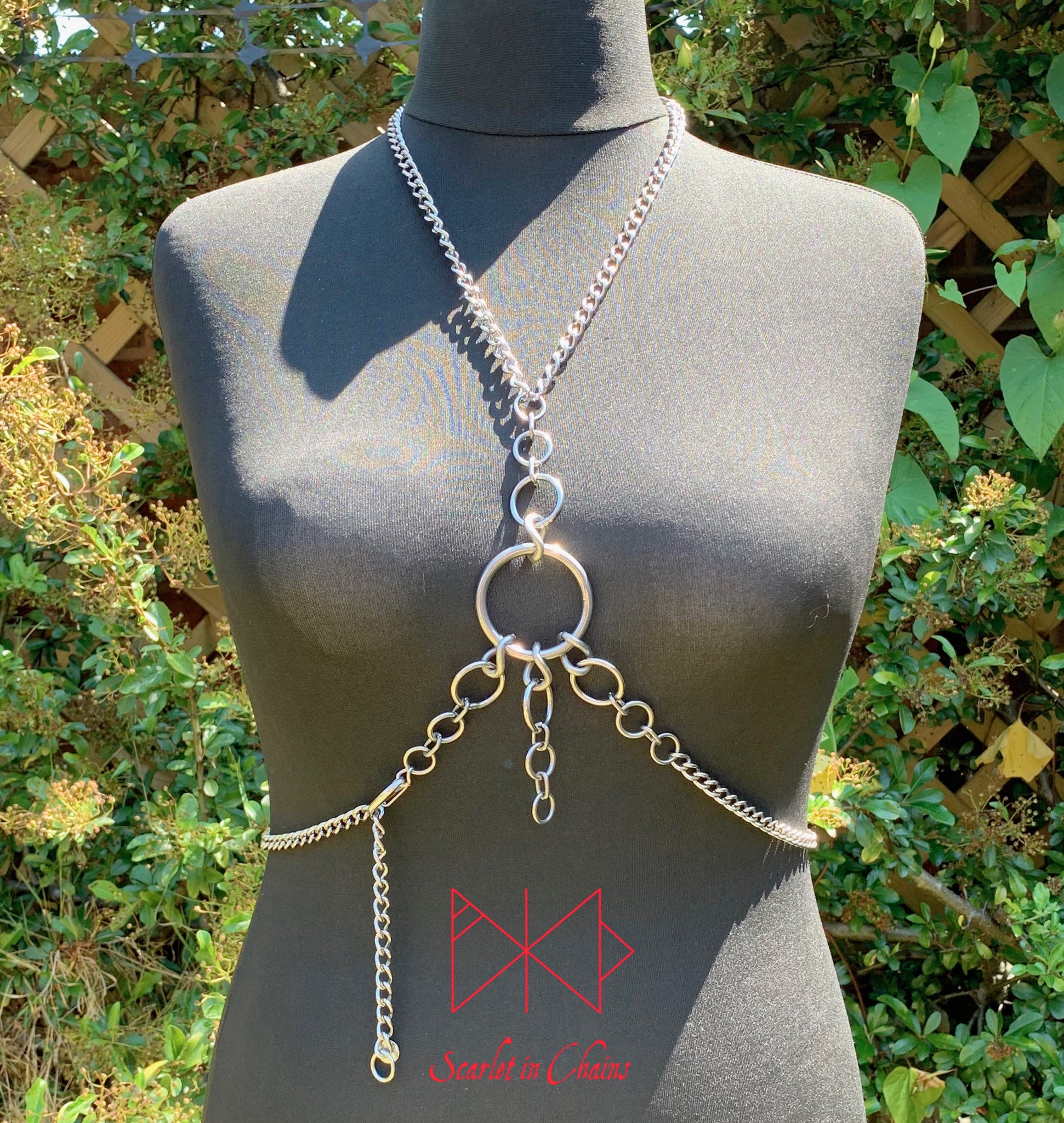 Synergy Body Harness Stainless Steel Harness with new links Front View