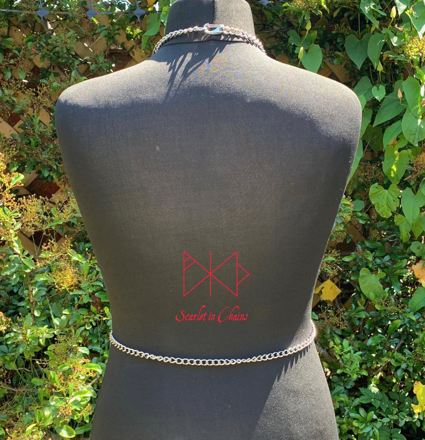 Synergy Body Harness Stainless Steel Harness with new links Back View