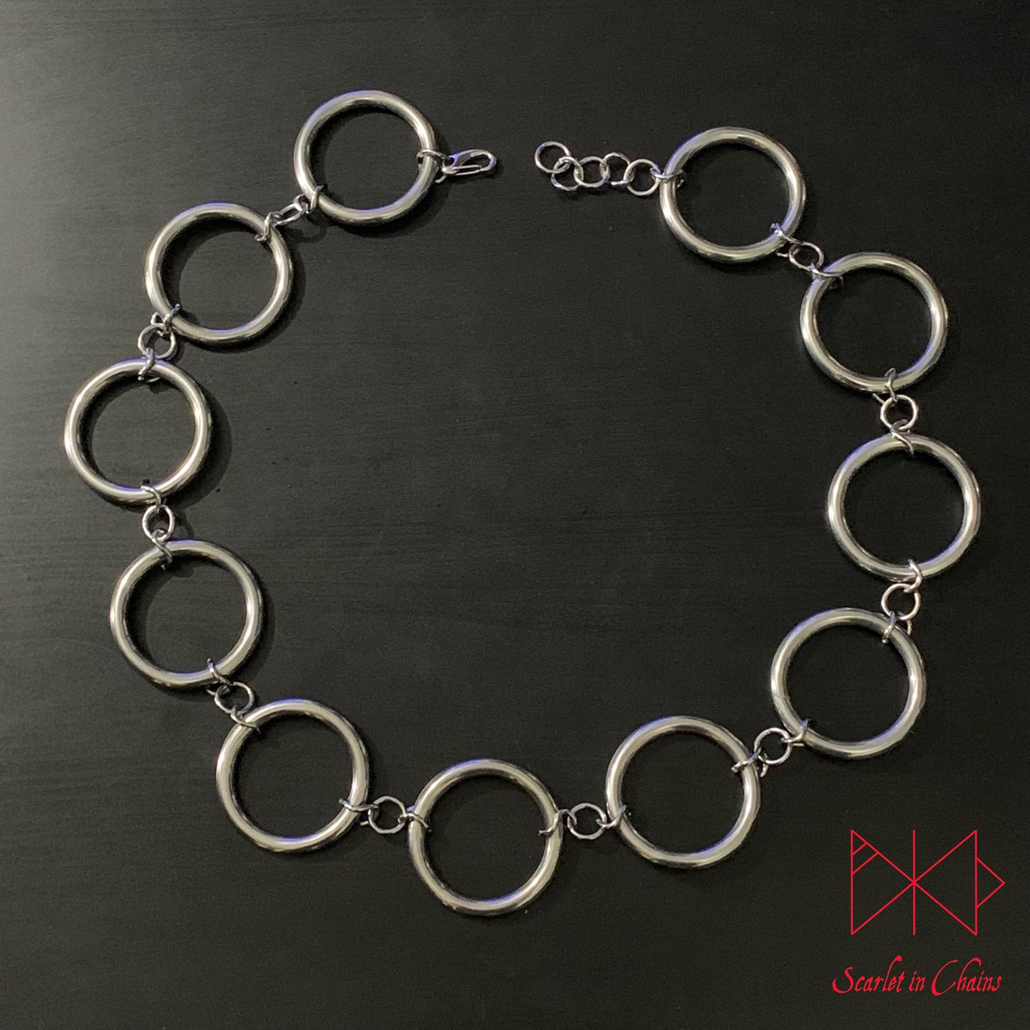 flat shot of Stainless steel Solar belt