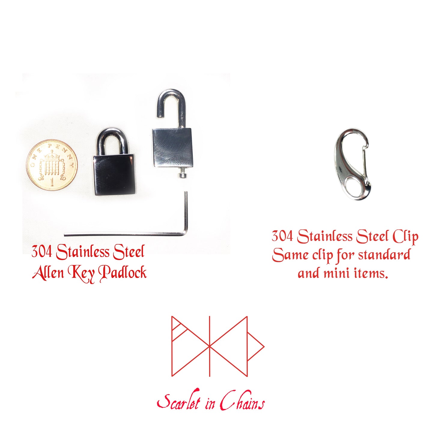 small stainless steel padlock with penny for size reference and small stainless clip