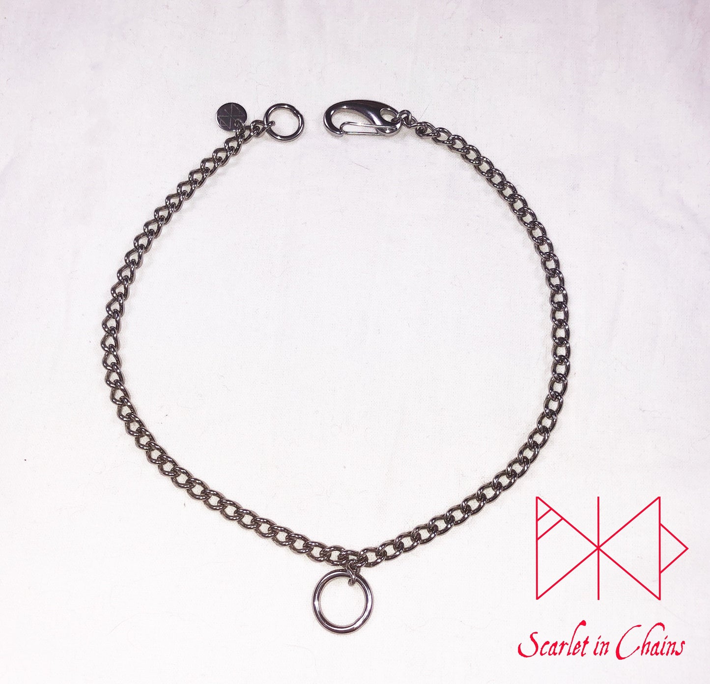 flat shot of micro Rockstar Day collar