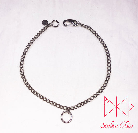 flat shot of micro Rockstar Day collar