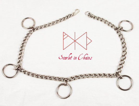 Flat shot of stainless steel Rockstar belt