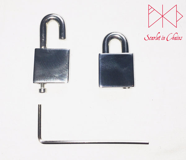 Stainless Steel padlock showing side view so you  can see how the screw is used to fasten the padlock.