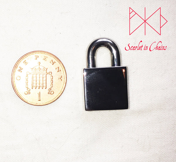 image of small stainless steel padlock with a penny for size reference
