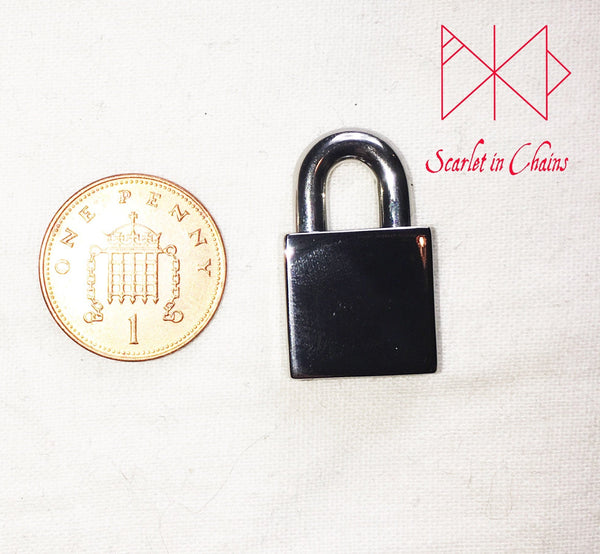 stainless steel padlock next to penny for size reference